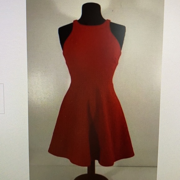 Elizabeth and James Magdelena Fit and Flare Dress in "Tang" (orange) size 0 - Picture 3 of 9